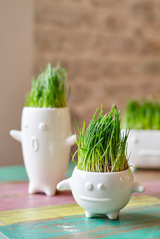 Ваза Eco Тиль ЭКОЧЕЛОВЕКИ 8001 - Вид №4