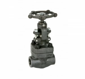 GENEBRE 2233n 06 Globe valve class 800 (2233S - S.W. ends)
