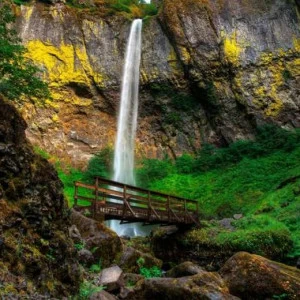 WP02314 Фотообои Verol Фотообои decoline 1х1 м