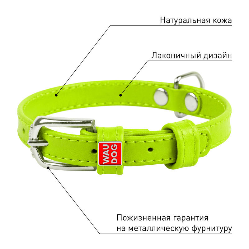 ПР0053776 Ошейник для собак Waudog Glamour без украшений (ширина 25мм, длина 38-49см) зелёный COLLAR  - Вид №3