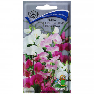 17229371 Чина широколистная смесь красок