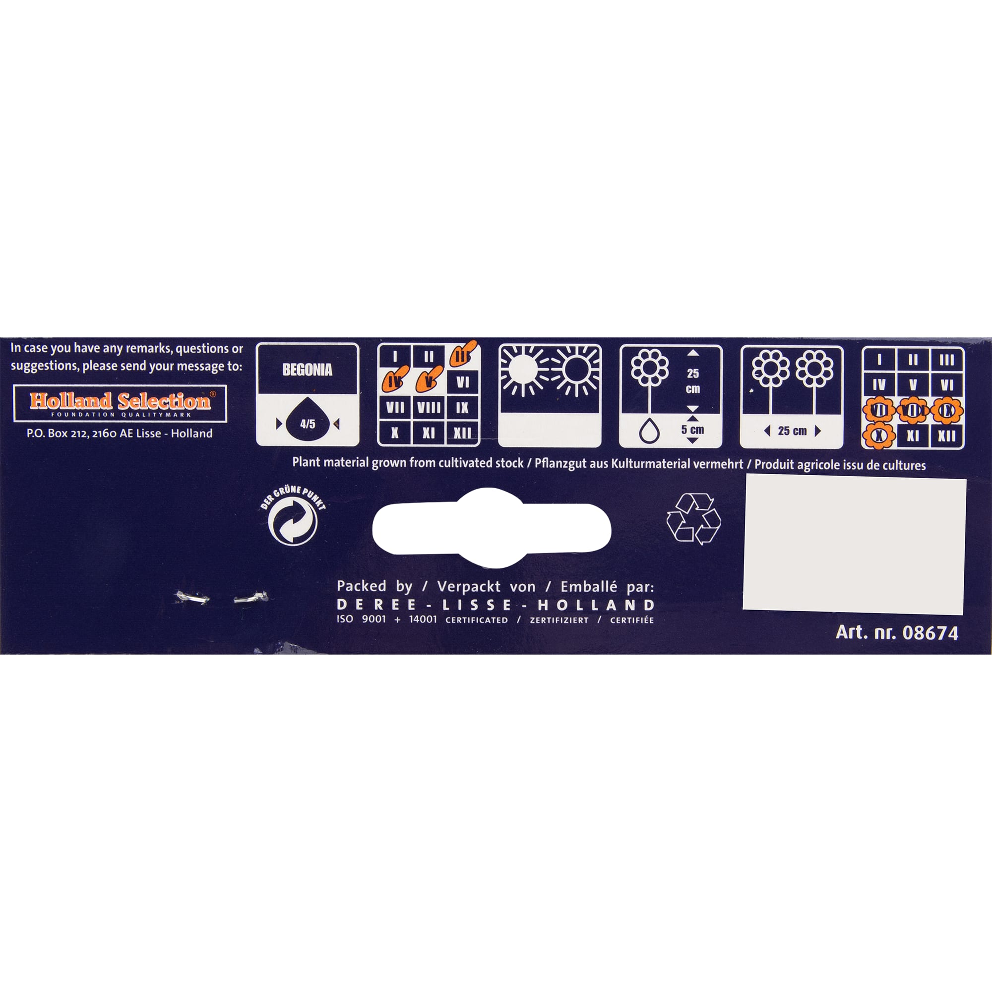 82539269 Бегония пикоти жёлто-красная Santreyd  - Вид №2