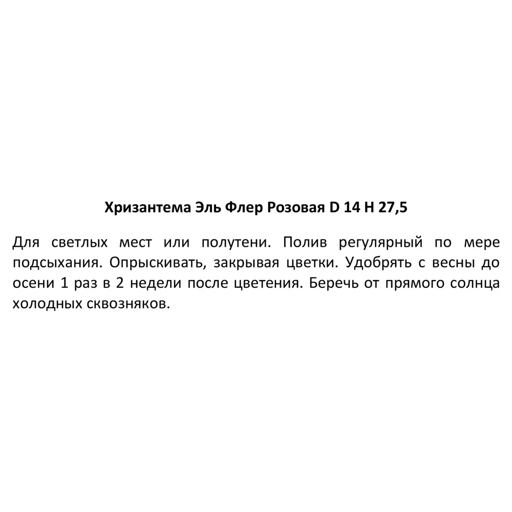 Хризантема Элль флер ø14 h27 см 89106750 STLM-2200415 Santreyd  - Вид №4