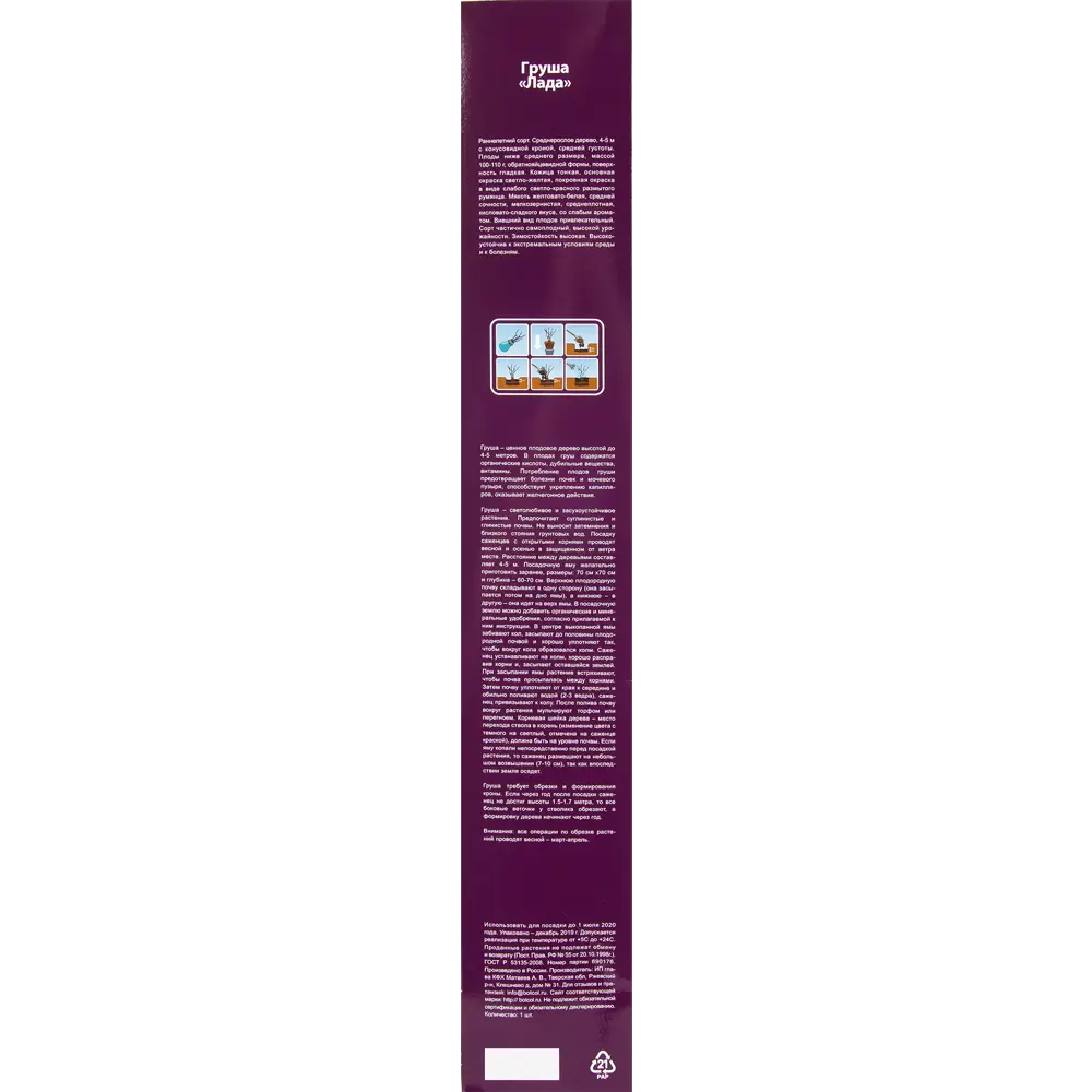 Груша Лада в тубе 82539559 STLM-2023891 BOTANIC COLLECTION  - Вид №2