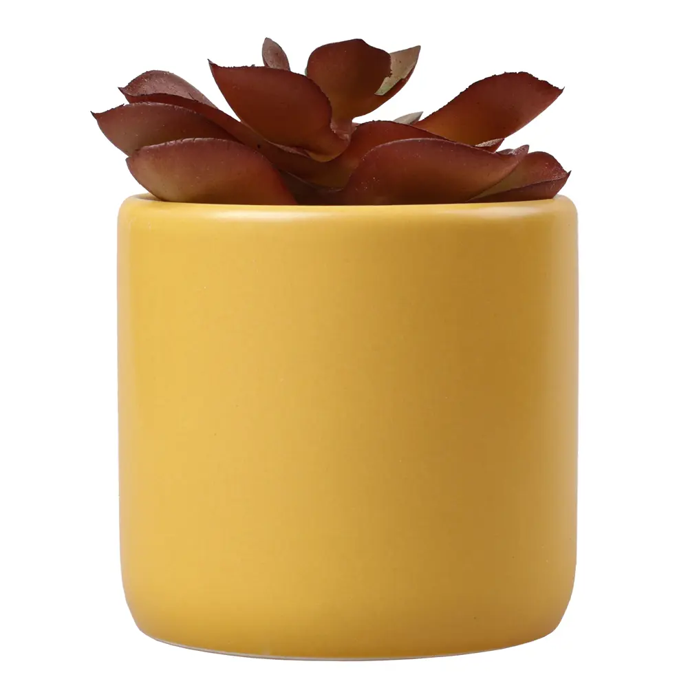 Искусственный суккулент Dream River в керамическом горшке 12 см 89432352 STLM-1578714 - Вид №1