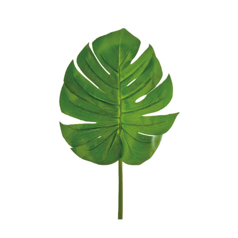 L122X6 Зеленый лист Adriani e Rossi Зеленый 