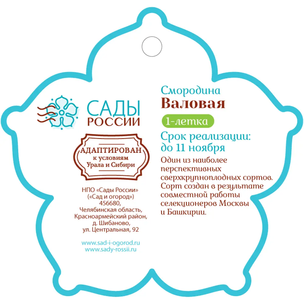 Смородина «Валовая» 1 год 12.5x30-50 см Santreyd STLM-2063881 - Вид №1