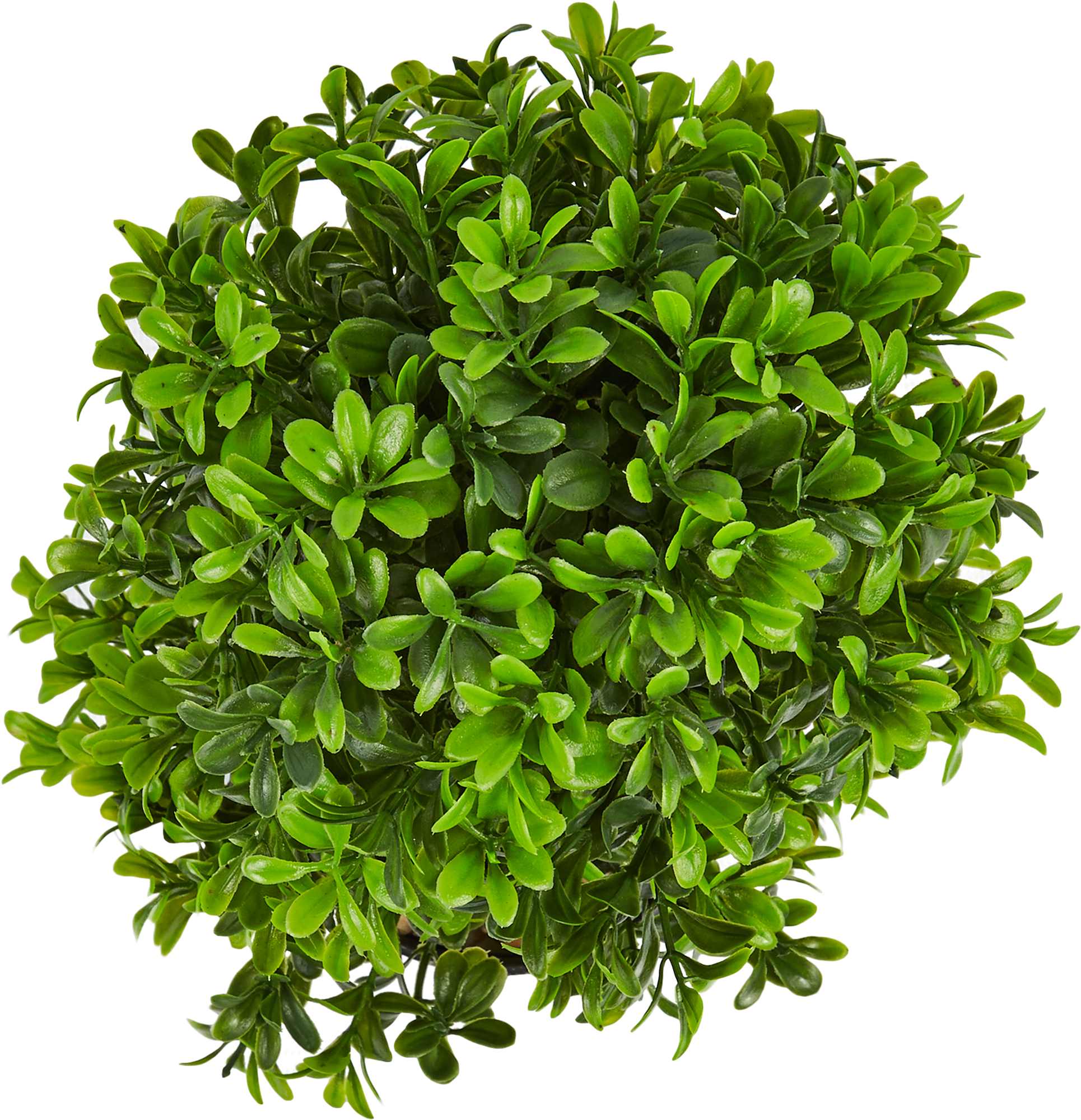 86762971 Искусственное растение в горшке Самшит ø14 h30 см STLM-0071438 Santreyd  - Вид №1