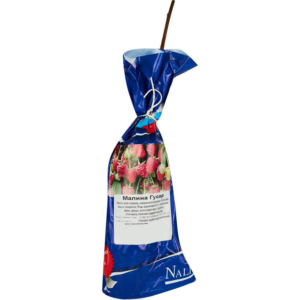 Малина Гусар красная пакет ø9 h40 см Santreyd STLM-2017010