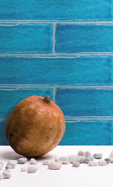 Danilo Ramazzotti Внутренняя облицовка майоликой Mare Ma2q - Вид №1