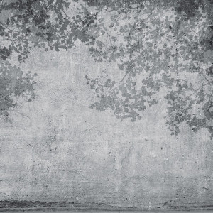 WP08013A Обои декоративные Adriani e Rossi