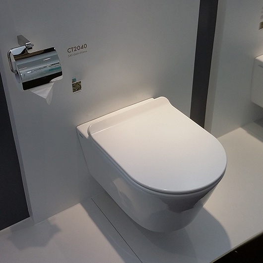 CT2063V Подвесной унитаз SSWW CT  - Вид №2