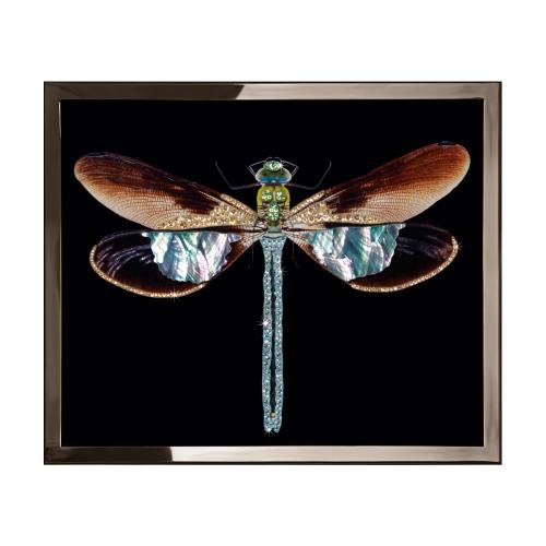 Libellula Mini Смешанная техника Visionnaire 