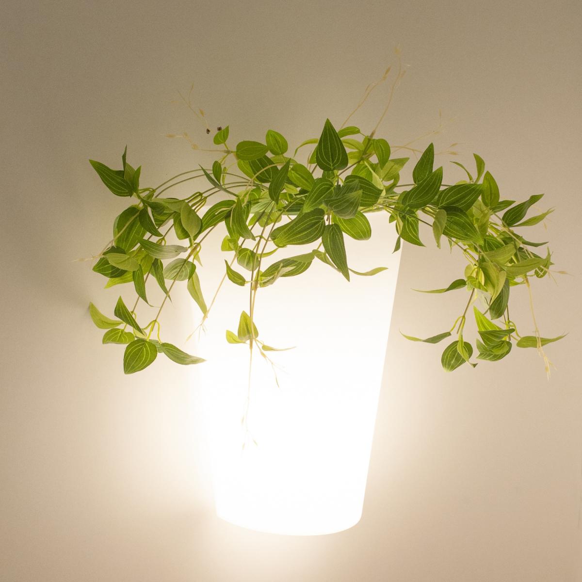 074490 Уличный настенный светильник Mantra Teja - Вид №2