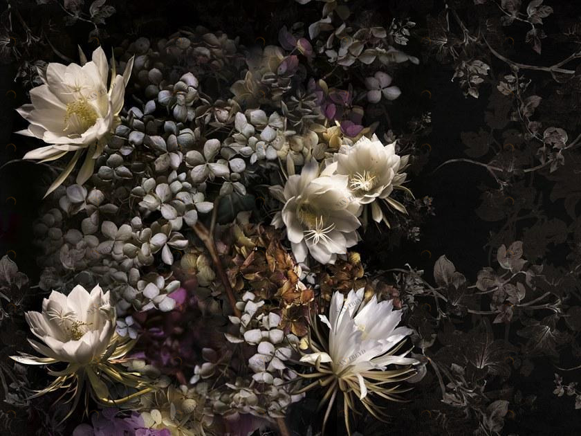 Inkiostro Bianco Обои на стену Inediti serie 01 Inkcsnf19