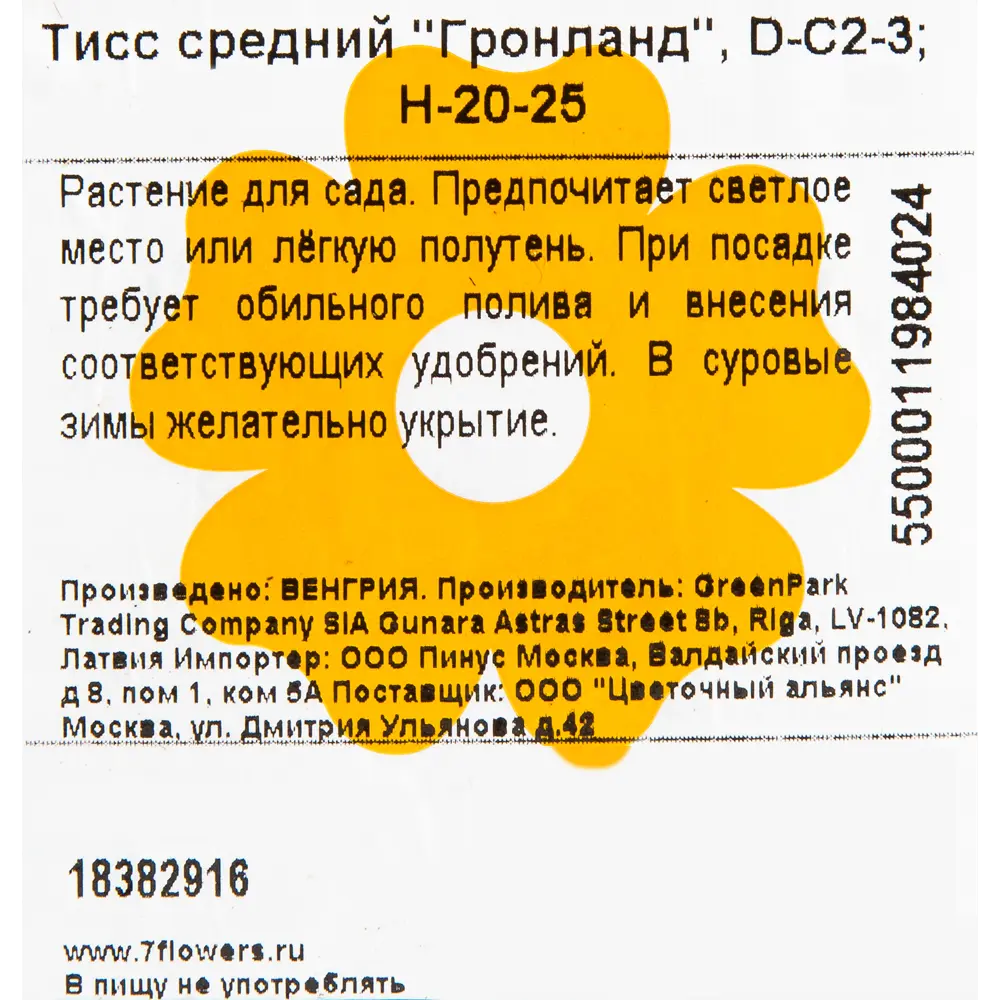 Тис средний «Гронланд», 17x20-25 см 18382916 STLM-2084538 Santreyd  - Вид №1