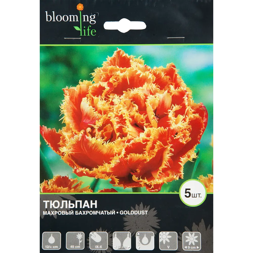 Тюльпан Голддаст 12/plus, 5 шт. 12834985 STLM-2156713 Santreyd 