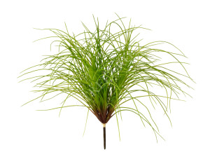 20.091404N Трава Оньон куст большой Цветочная коллекция