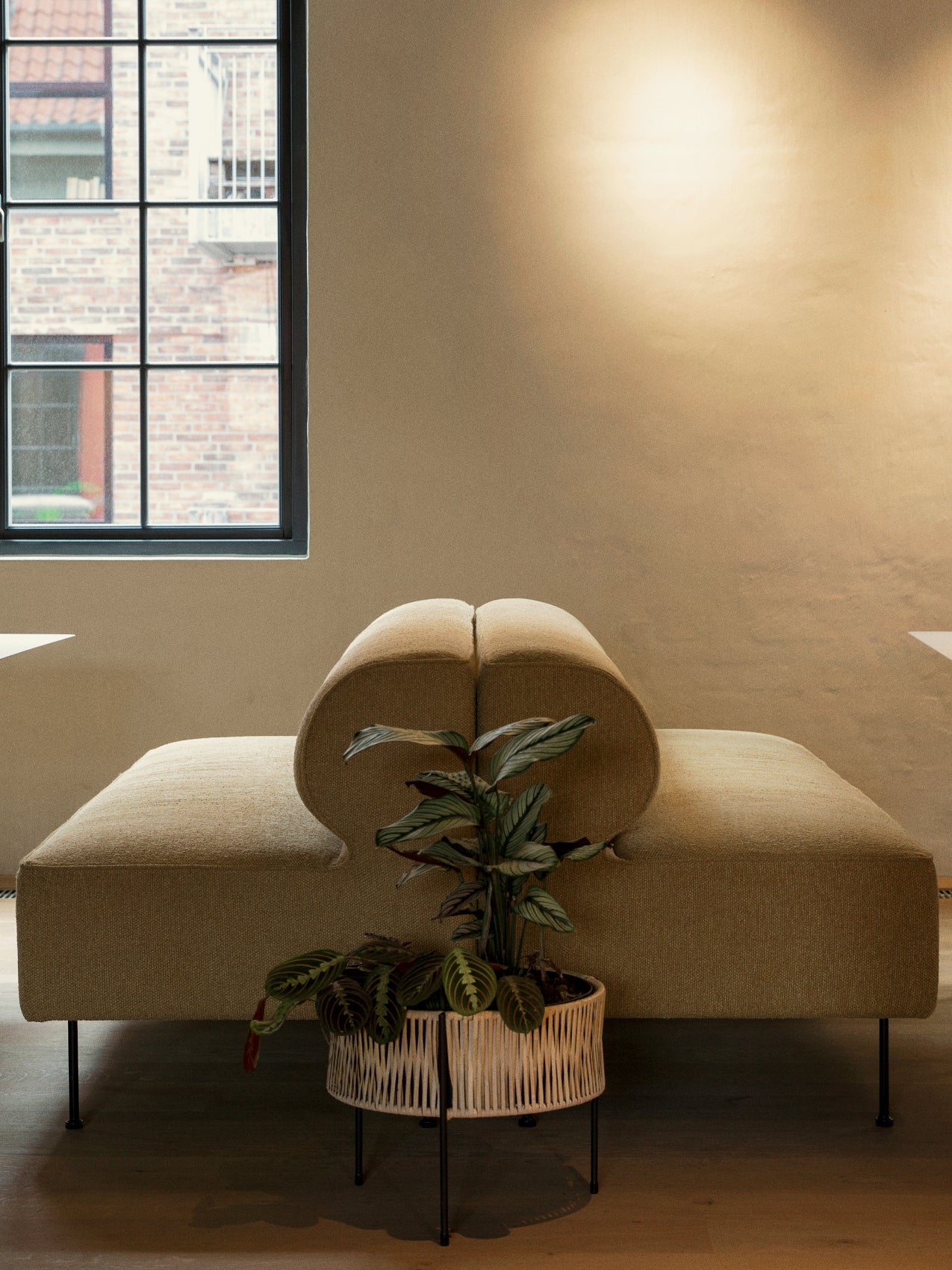 5709262046836 Обеденный диван Eave LuceLight  - Вид №2