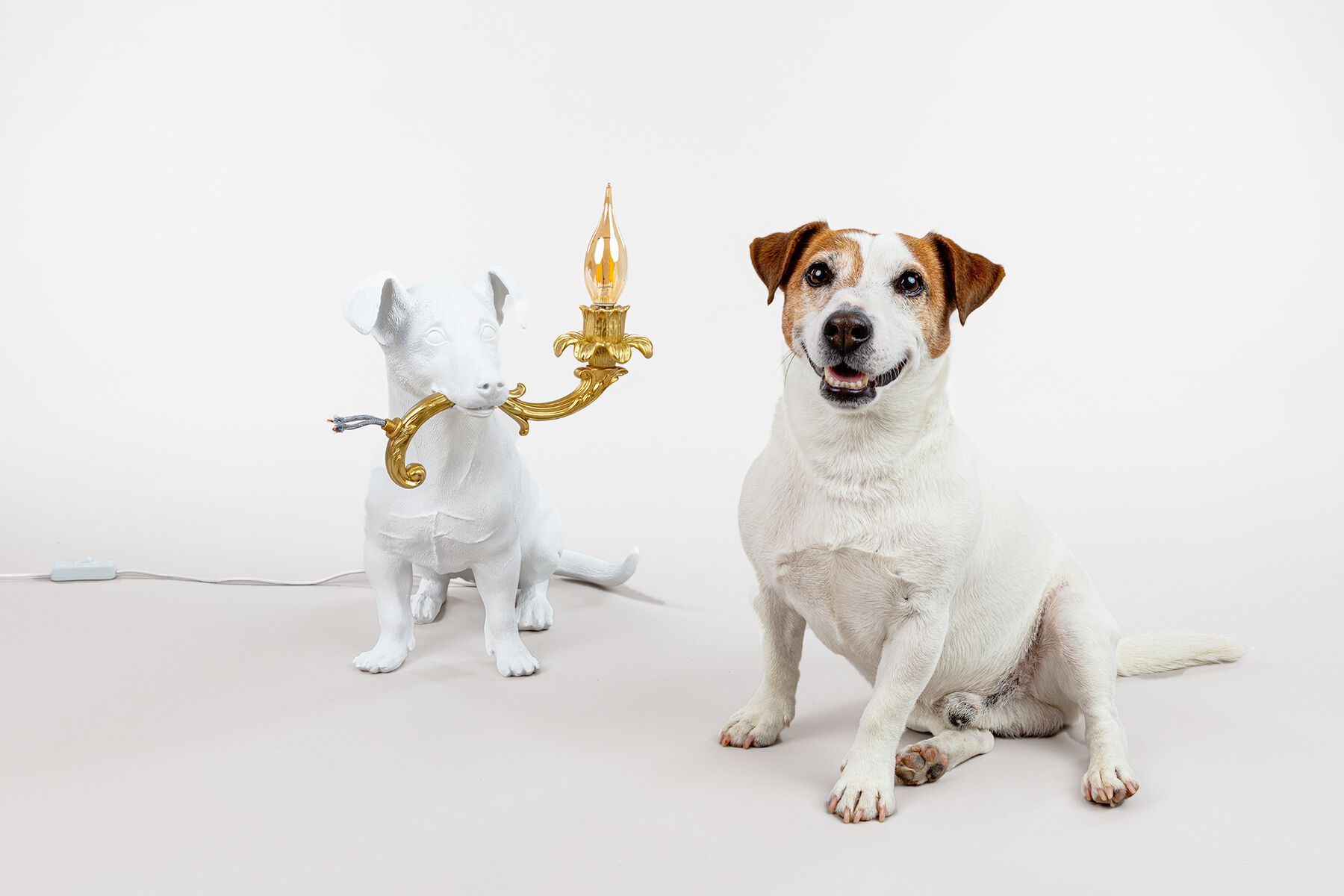 Светодиодная настольная лампа из смолы Seletti Rio Lamp ARCH-00072573 - Вид №13