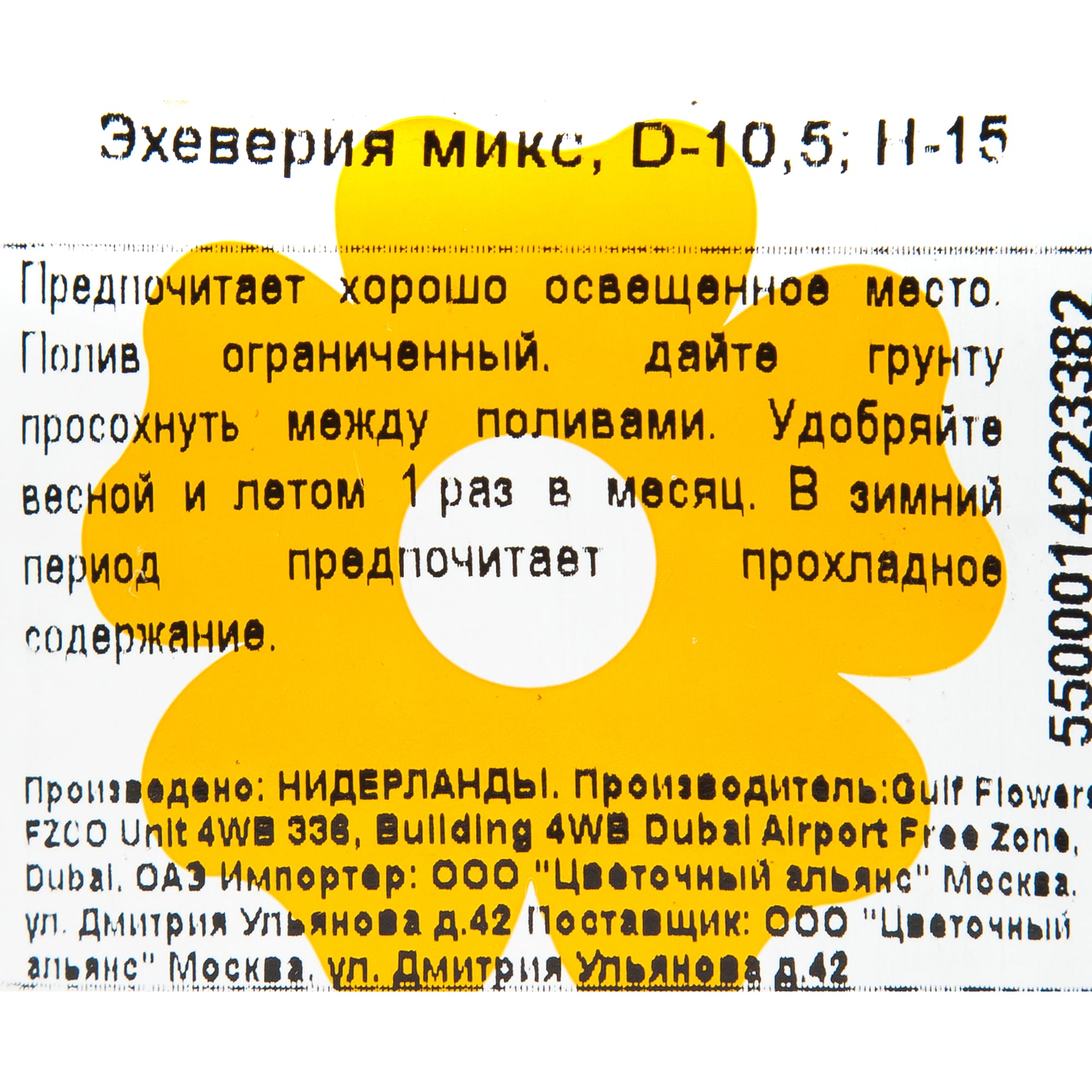 82929556 Эхеверия микс 10,5x15 см Santreyd  - Вид №2