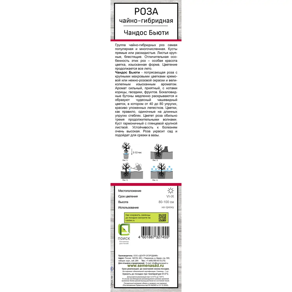 Роза чайно-гибридная Чандос бьюти h37 см 83786574 STLM-2074875 Santreyd  - Вид №2