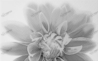 Камелия черный 03 250х400 Шахтинская Плитка 010301001886