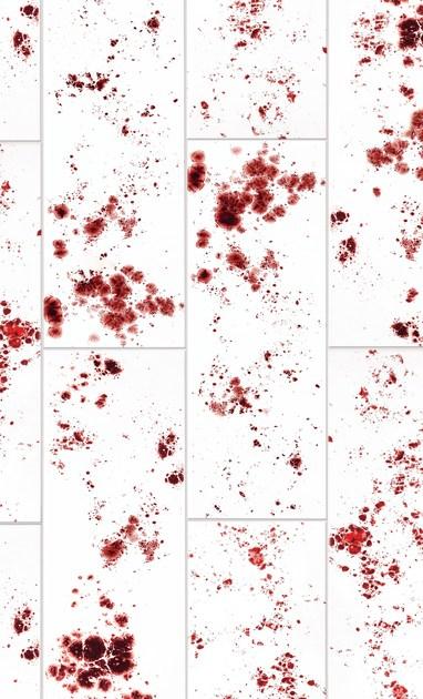 Danilo Ramazzotti Внутренняя облицовка майоликой Inchiostro simpatico Is3d - Вид №2