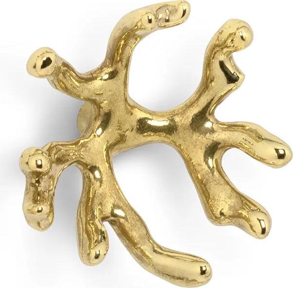 OC2006 Codium PULLCAST Ocean Collection  - Вид №1