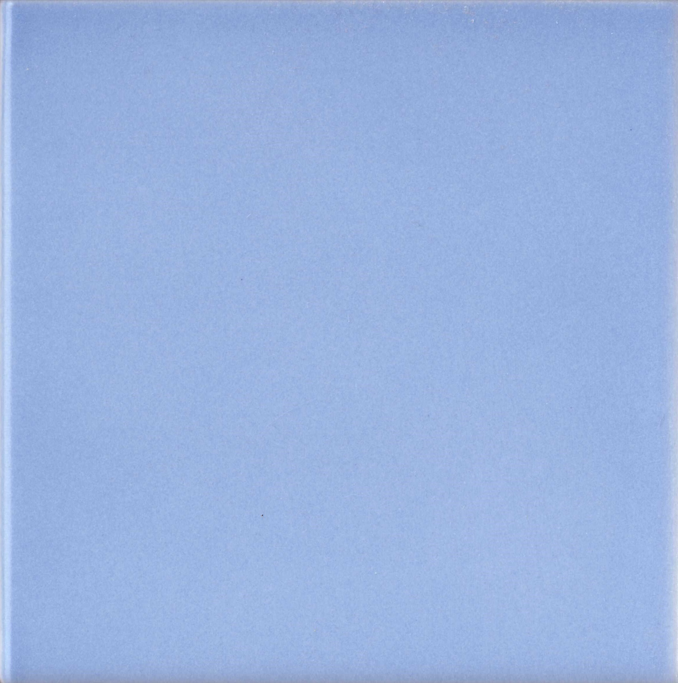 Пол / покрытие ручной работы La Riggiola одноцветный ARCH-00080124 - Вид №2