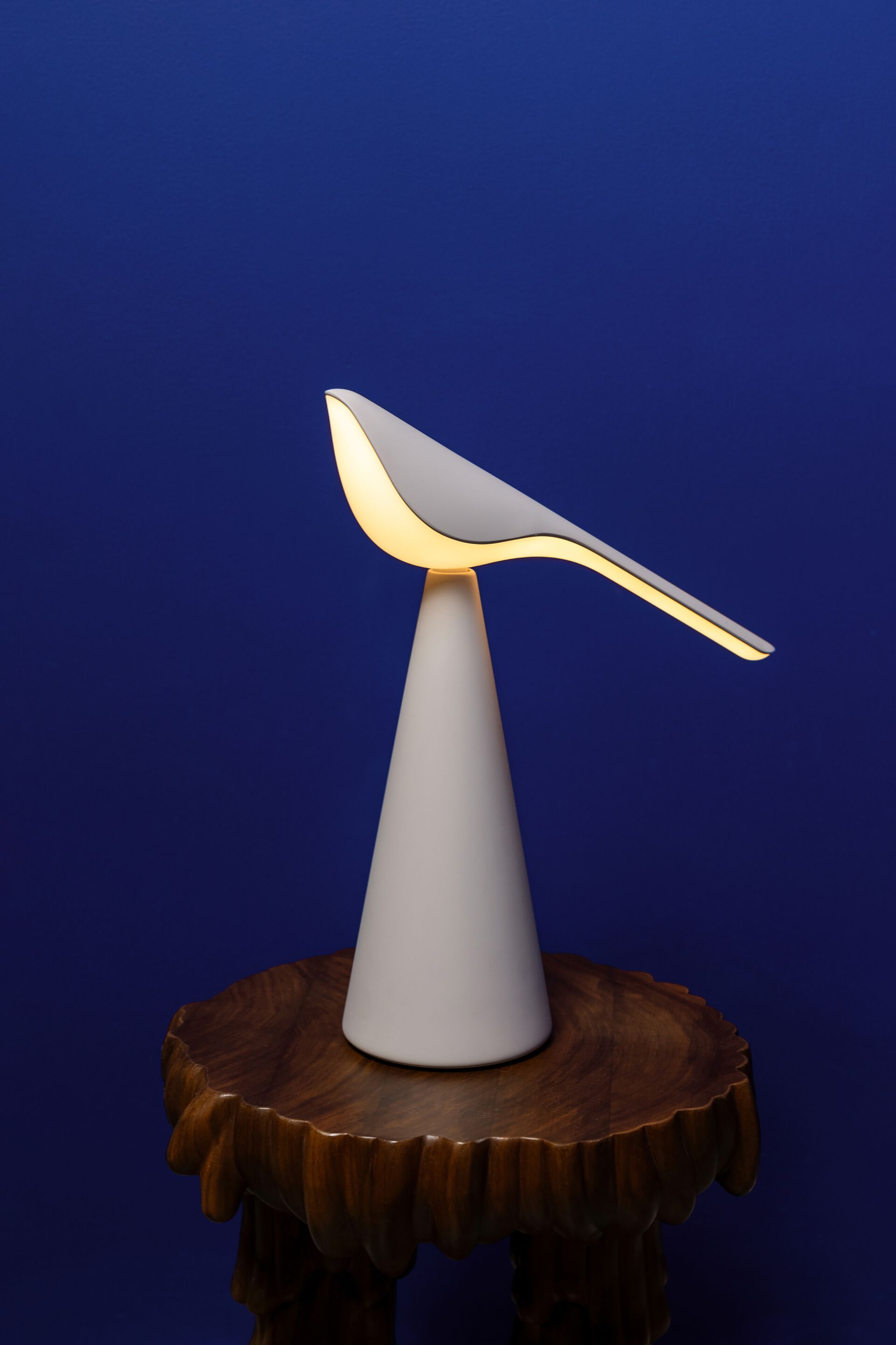 Алюминиевая светодиодная настольная лампа Established&Sons TIKI ARCH-00145932 - Вид №29