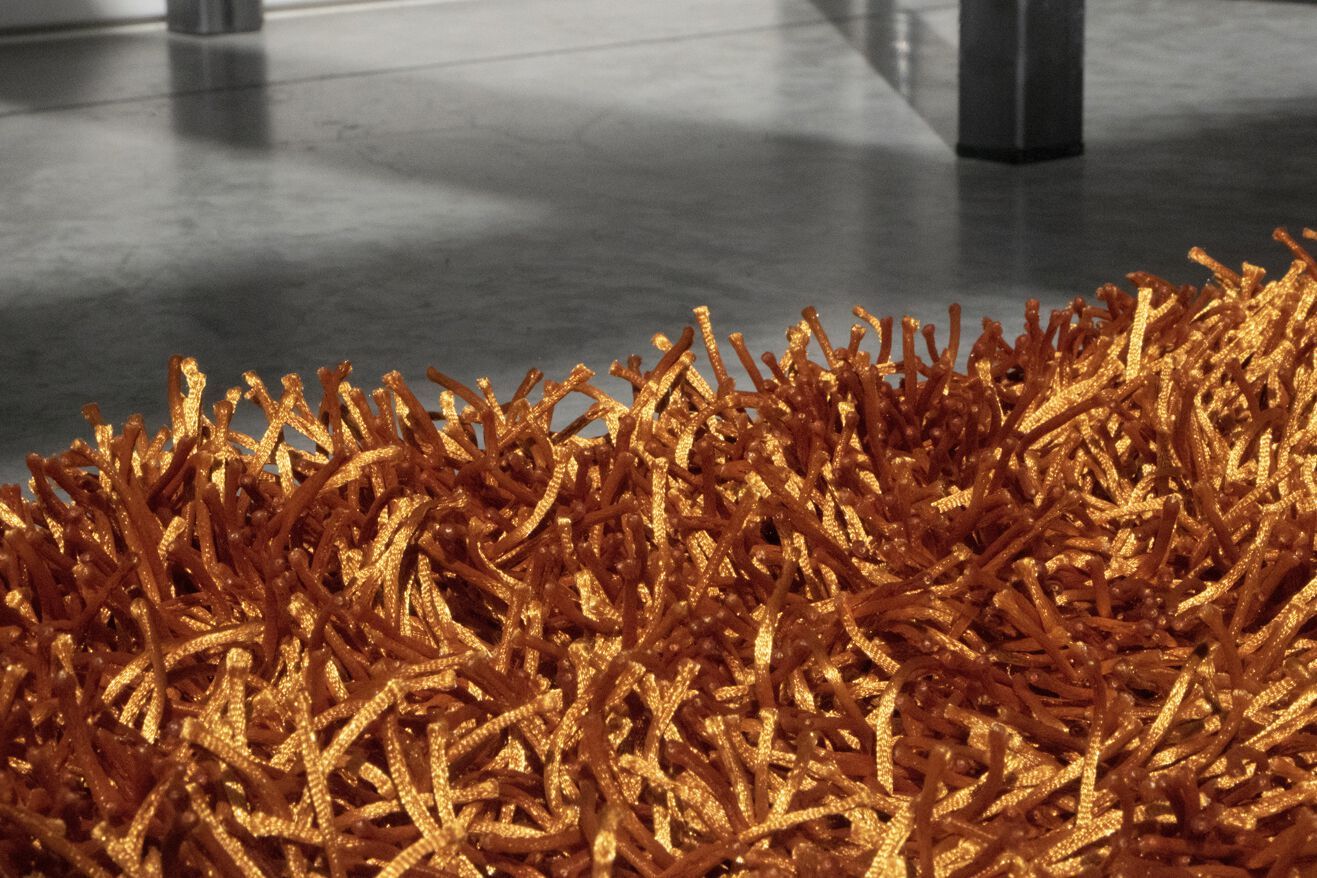 Полиэстер сплошной цвет ковер G.T.DESIGN материалы полиэстер ARCH-00056325 - Вид №3