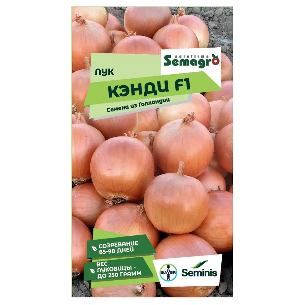 Семена овощей Seminis лук репчатый Кэнди F1 89403746 STLM-2168975 Santreyd 