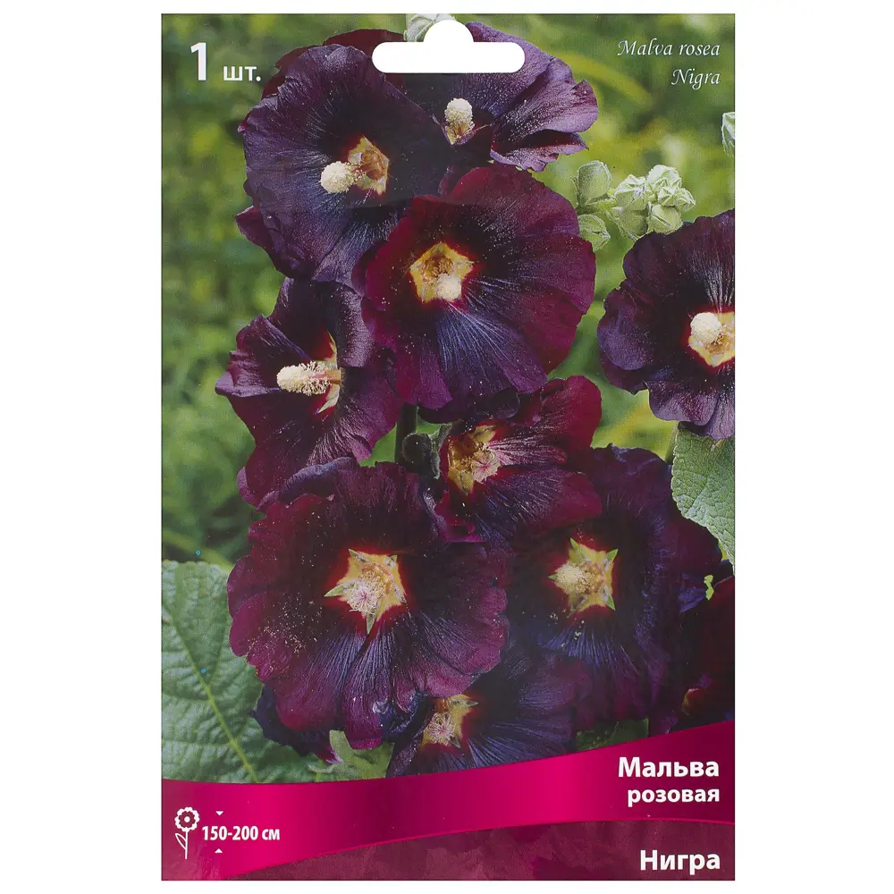 Мальва «Нигра» с капером цвет розовый Santreyd STLM-2142658