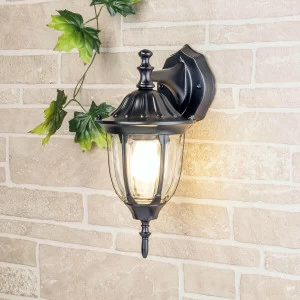 Уличный настенный светильник с прозрачным плафоном черный Elektrostandard 4690389076077 ELEKTROSTANDARD 1002 00-3897428 Прозрачный;черный