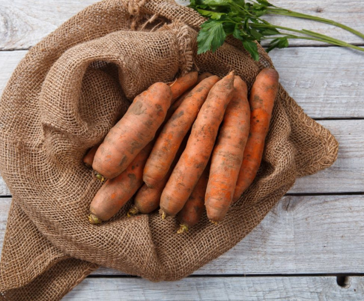 5223 Морковь Вкусляндия 