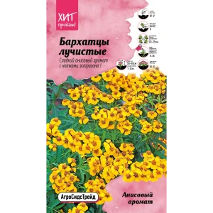 Семена цветов бархатцы лучистые Анисовый аромат 89347804 STLM-2193223