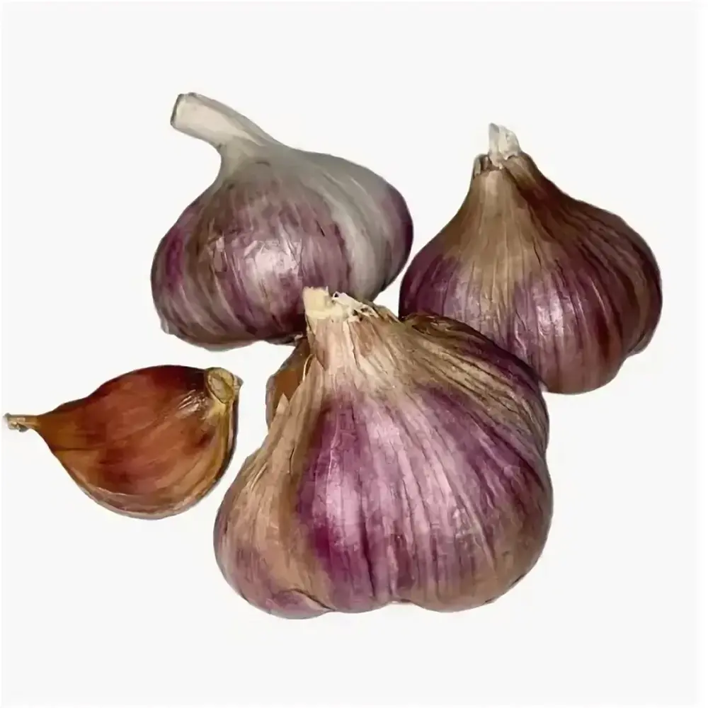 Луковицы чеснока озимого Донской 0.5 кг 89435538 ПОИСК STLM-1578850