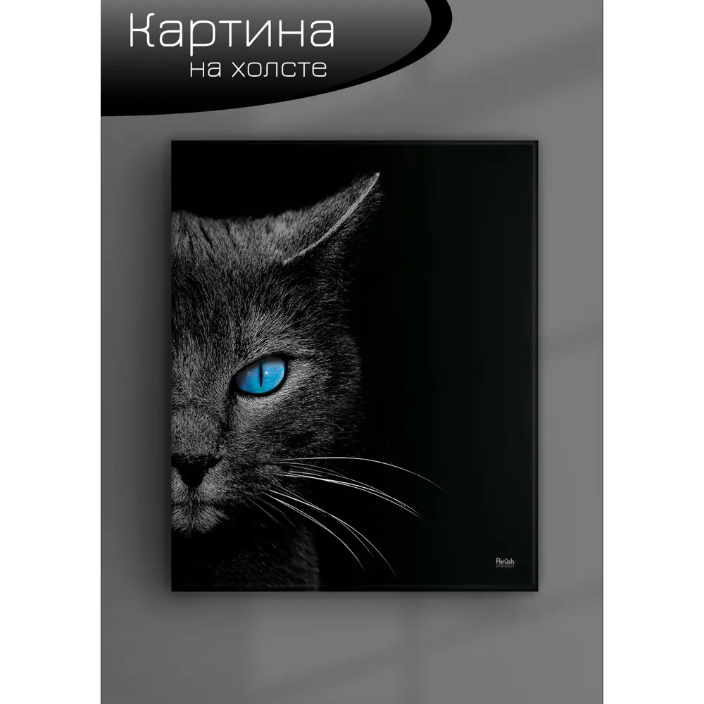 Картина на холсте Ночная кошка 40x50 см FBRUSH STLM-2051417 - Вид №5