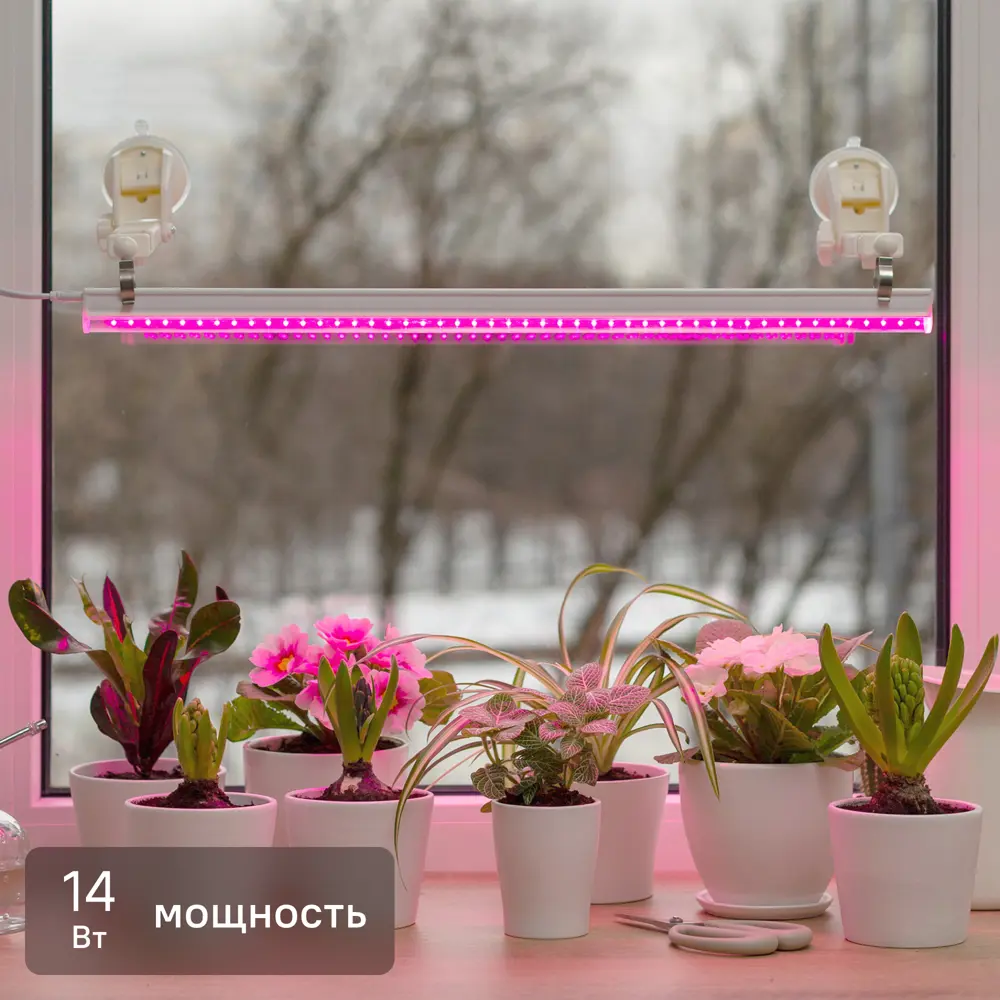 Фитосветильник линейный светодиодный Ritter Planta 56297 9 14Вт 880мм провод 2м с выключателем на корпусе цвет белый 85336793 STLM-2048441 