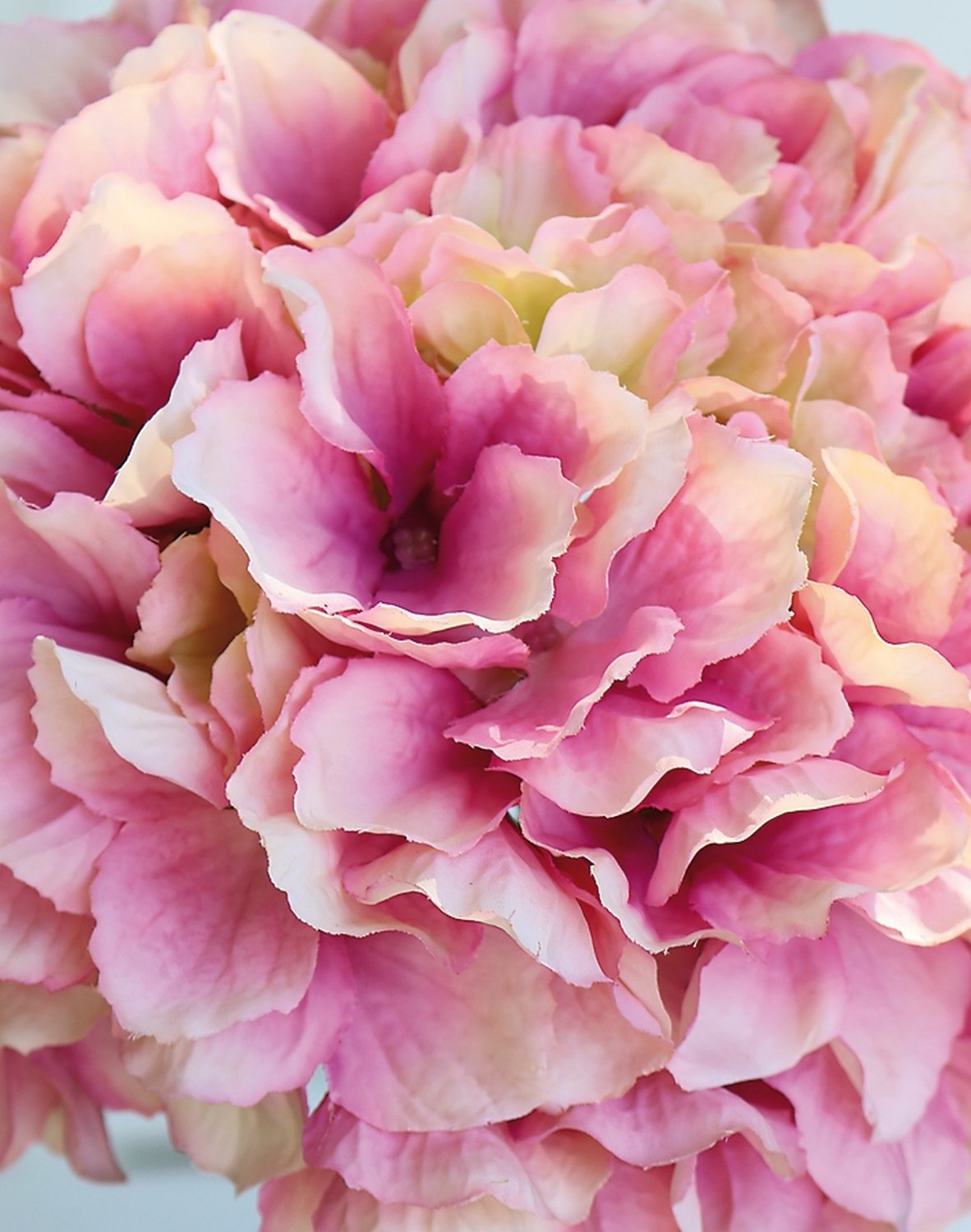 9901 510 a3 Гортензия искусственная, 40 см, розовая H-andreas  - Вид №4