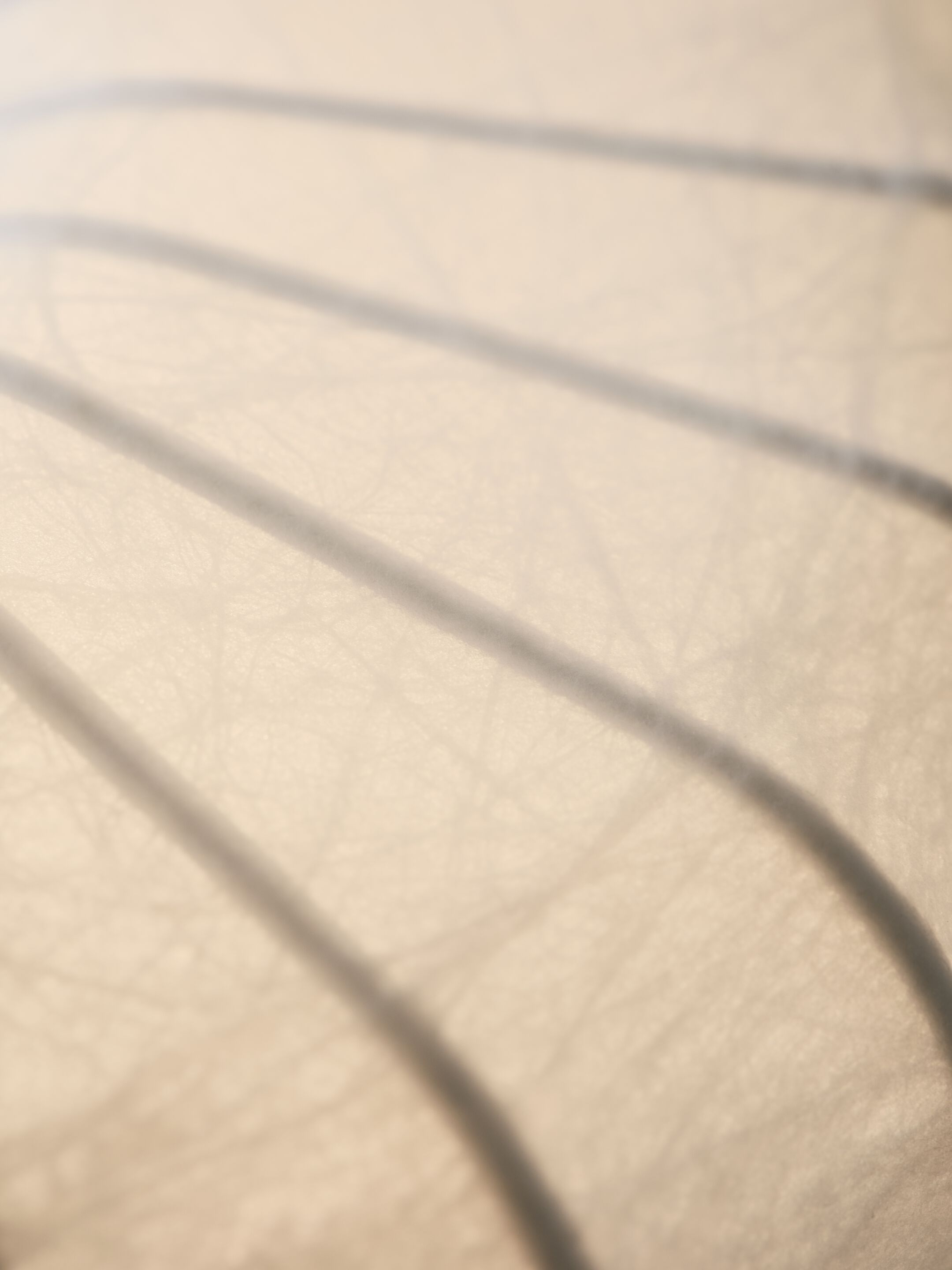 Cocoon смола затемнения торшер Pholc Meter ARCH-00092647 - Вид №14