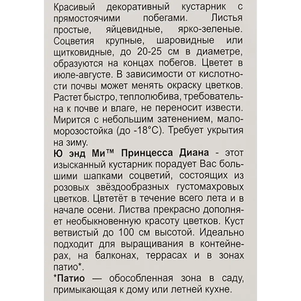 Гортензия крупнолистовая Ю энд ми Принцесса Диана Люкс ø9 h39 см 83738717 STLM-2021803 Santreyd  - Вид №4