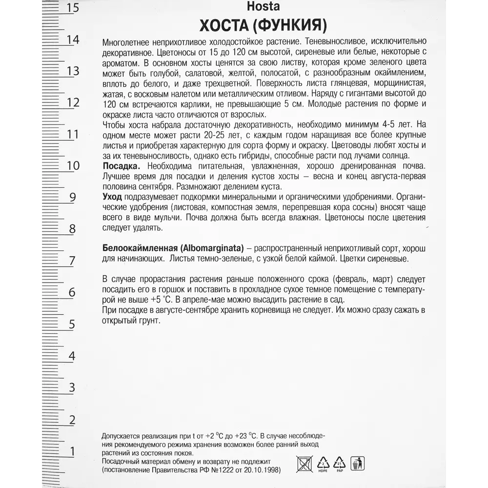 Santreyd Хоста «Альбомаргината» — изящное украшение тенистого сада 82118737 STLM-1513937 - Вид №1