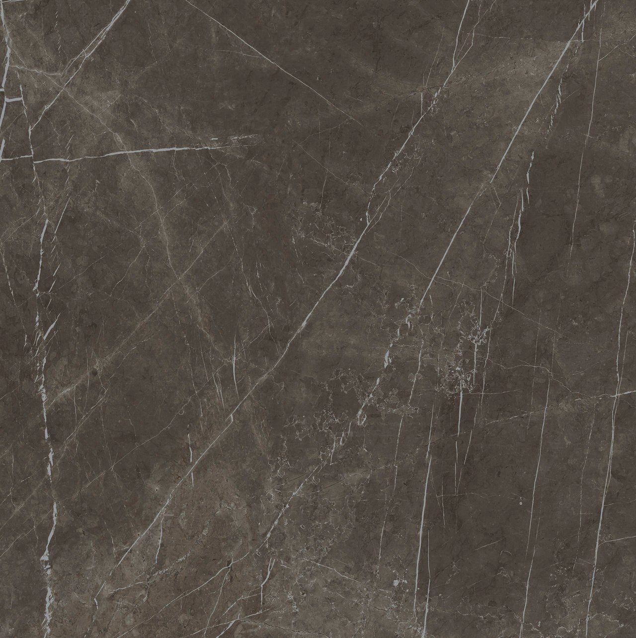 Пол / керамогранит с мраморным эффектом Fiandre Marmi Maximum ARCH-00145872 - Вид №18