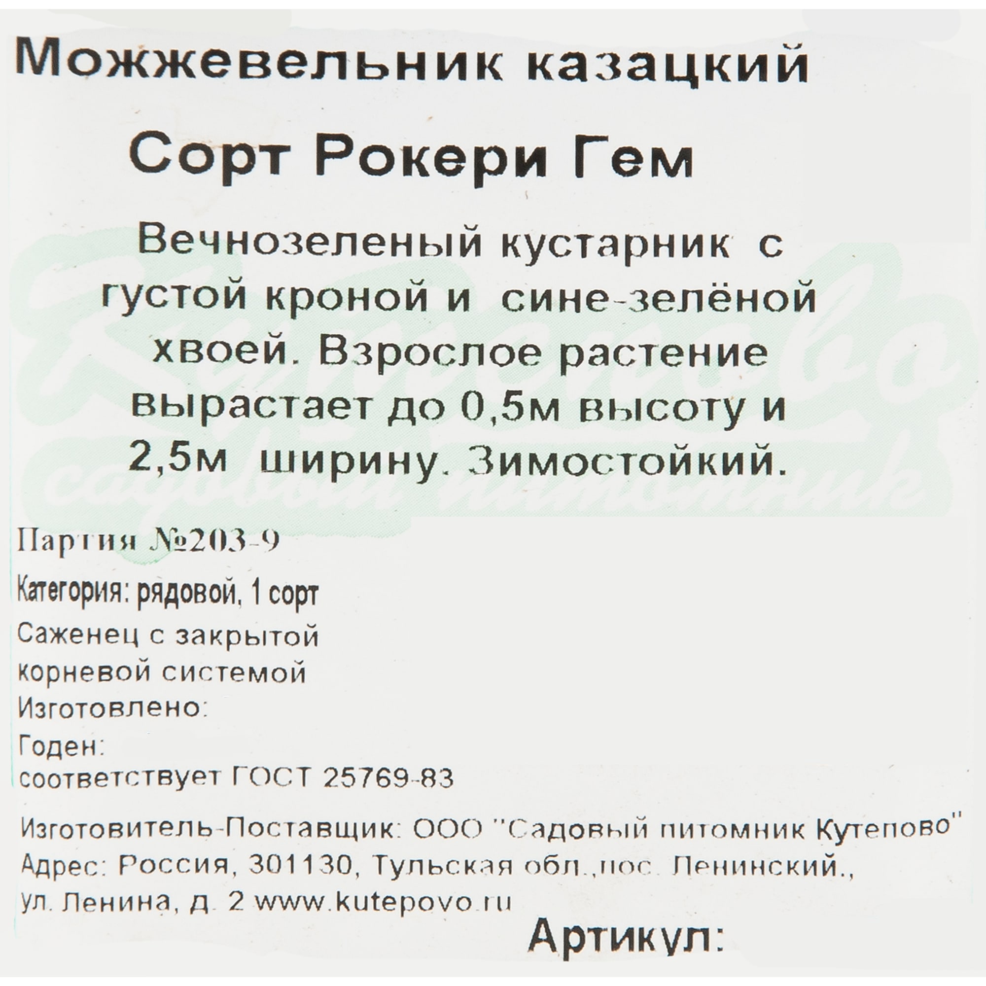 82596778 Можжевельник казацкий 9x15 см Santreyd  - Вид №1