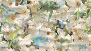 Декор Dec Spring Panno A 25х45