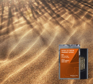 F2924 Ароматическая капсула SCENTYS