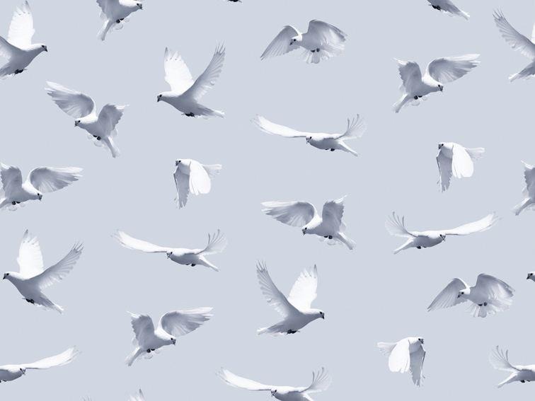 Wall&decò Обои с животными Contemporary wallpaper 2010 sun-id-1446065 - Вид №4