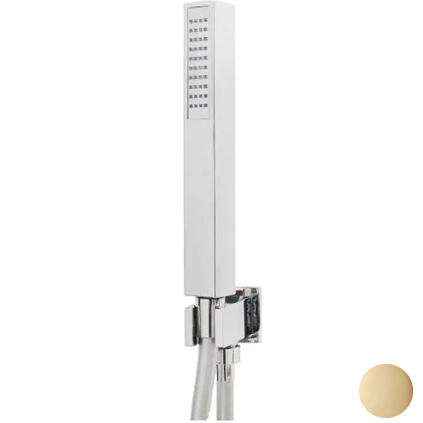 AC1045010 Душевой гарнитур , золото Webert #VALUE! 